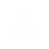 IATA Logo